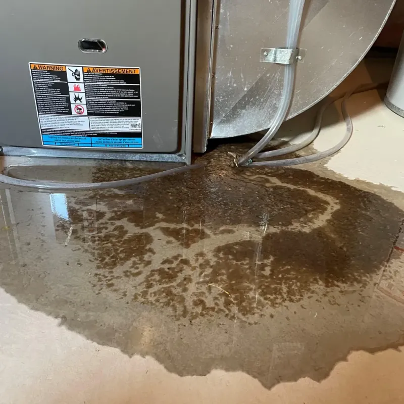 Appliance Leak Cleanup in Eaton, IN